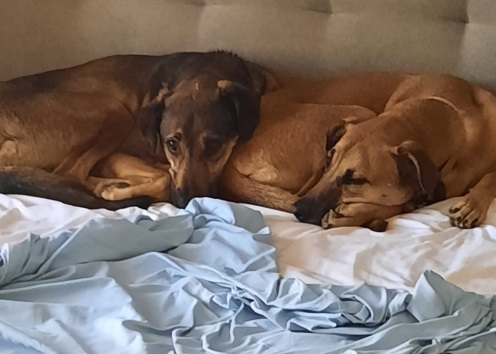 Mimi & Roger